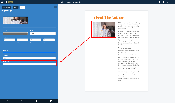 screenshot of the Beacon editor with the new link image feature