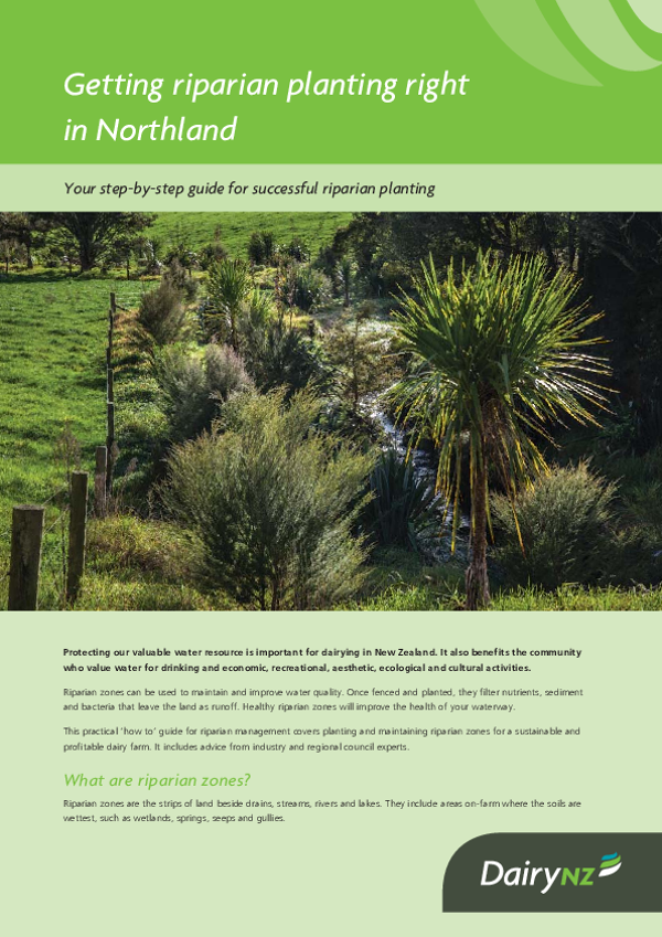 Getting riparian planting right in Northland - Dairy NZ