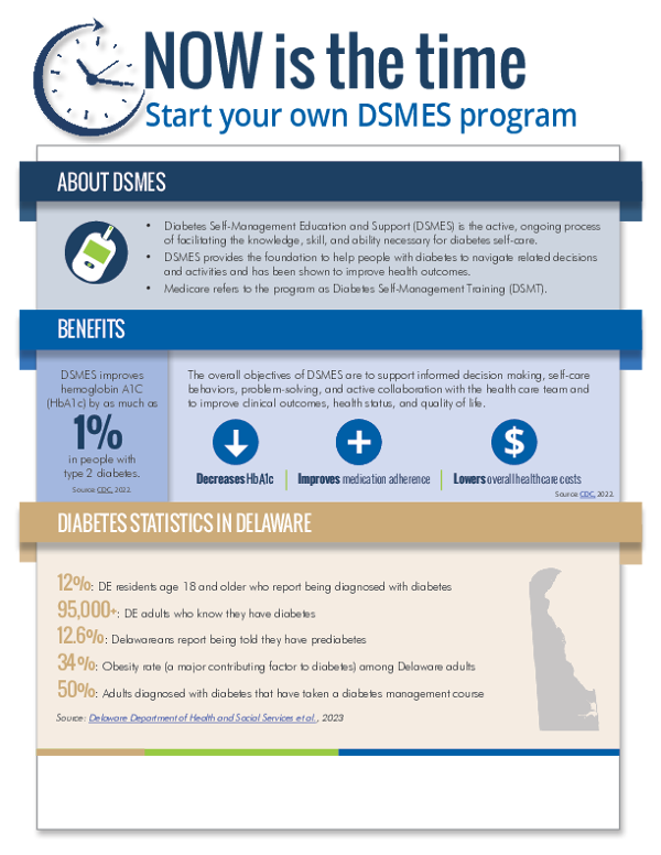 Start Your Own DSMES Program
