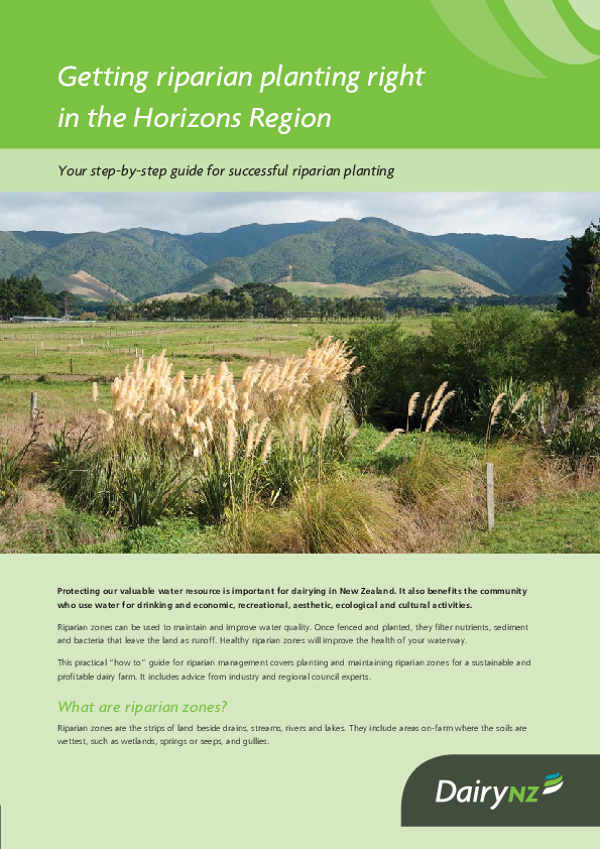 Getting riparian planting right in the Horizons Region - NZ Dairy