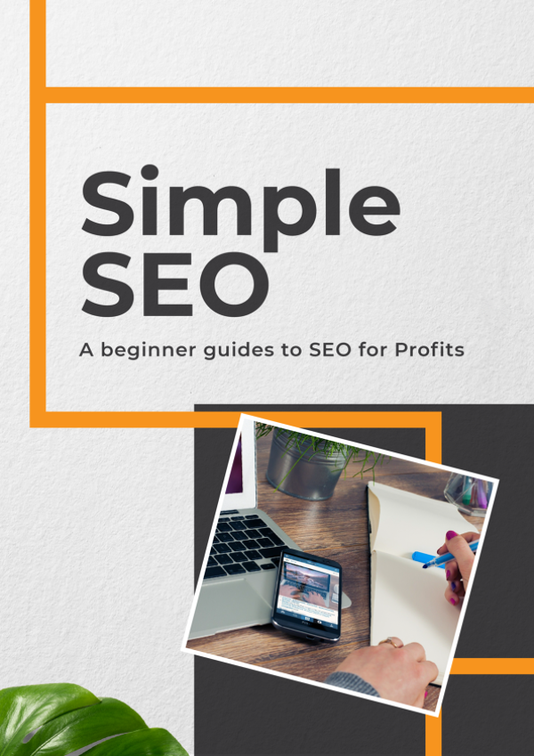 Simple SEO: A Beginner Guides To CEO For Profit
