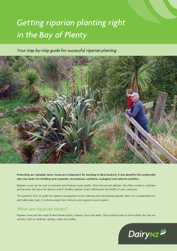 Getting riparian planting right in the Bay of Plenty - Dairy NZ