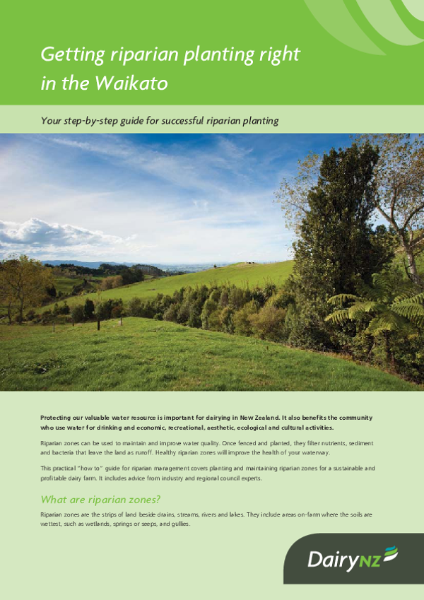 Getting riparian planting right in the Waikato - Dairy NZ