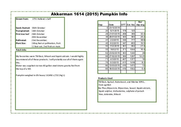 NZ Record Data - Aaron Akkerman