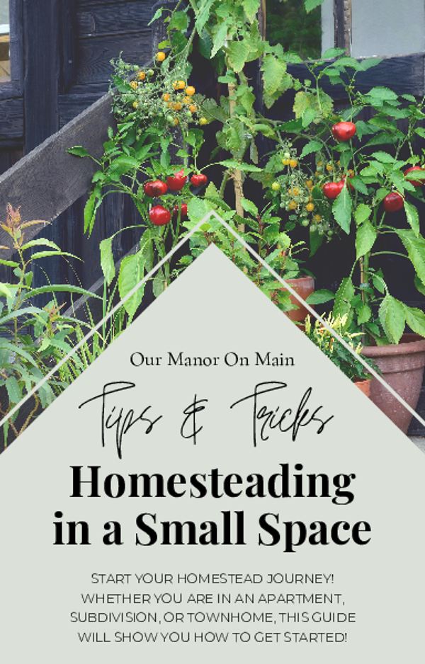 Guide to Homesteading In a Small Space