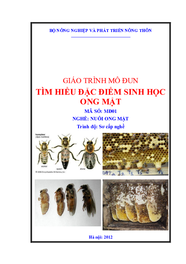 Giáo trình mô đun Tìm hiểu đặc điểm sinh học ong mật - Nghề Nuôi ong mật.pdf
