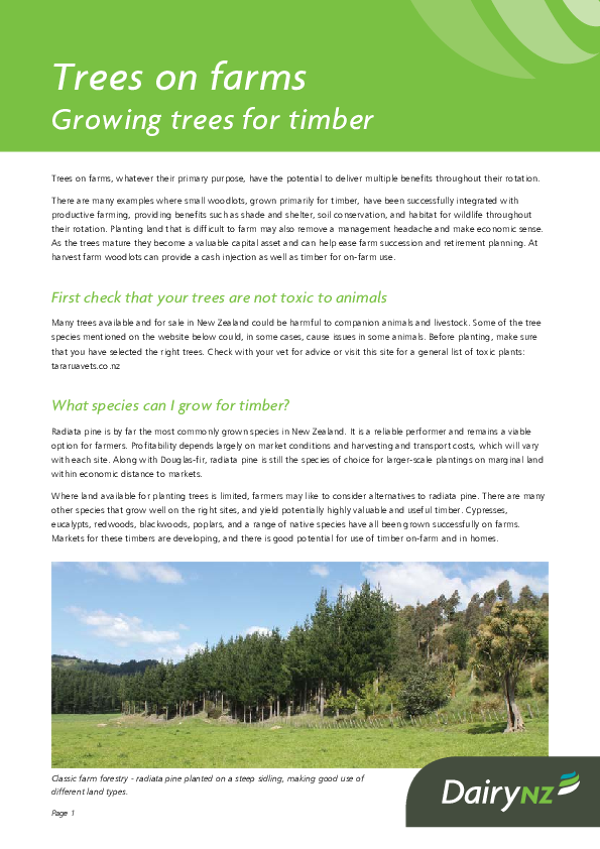 Trees on Farms - Growing Trees for Timber - Dairy NZ