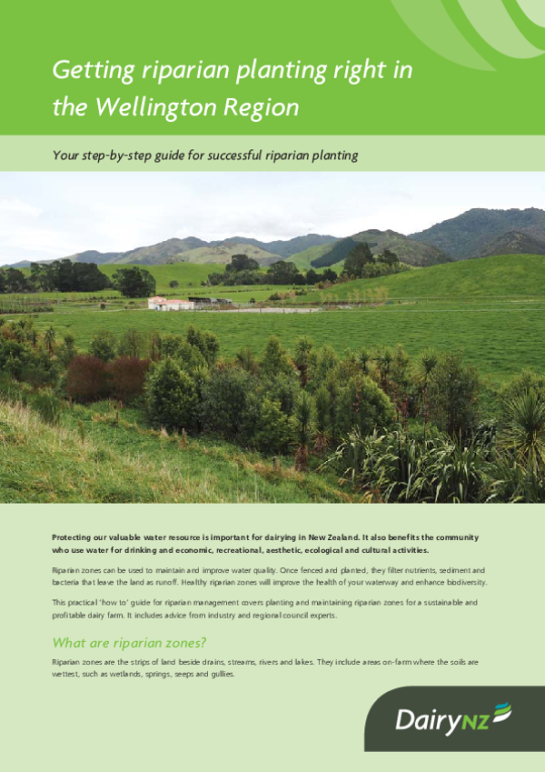 Getting riparian planting right in the Wellington Region - NZ Dairy