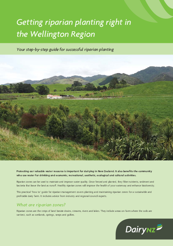 Getting riparian planting right in the Wellington Region - NZ Dairy