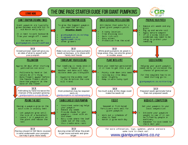 The One Page Giant Pumpkin Starter Sheet